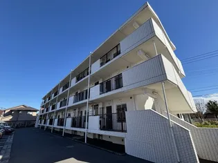 キキョウ第五三上マンションの画像