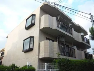 ロックハイツ【100号室】の外観