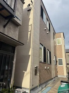 セキレイの画像