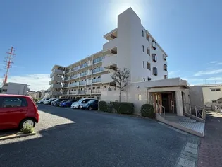 ルミナス藤の画像