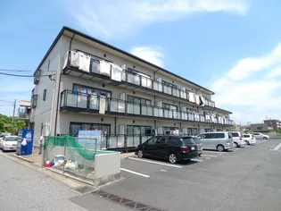 ハイネスの画像