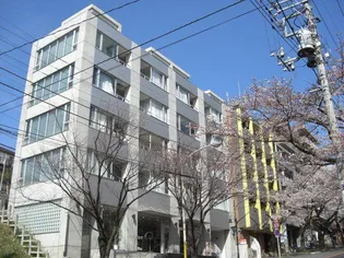 LYNX SAGINUMAの画像