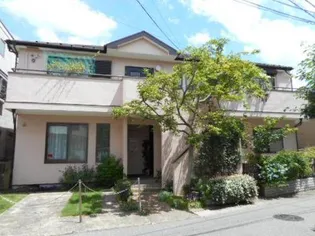 さくらそうの画像