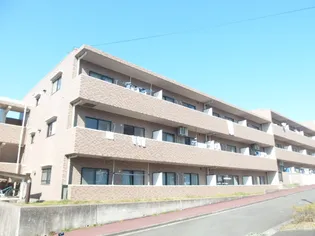 プラム ブラッサム池の端 壱番館の画像