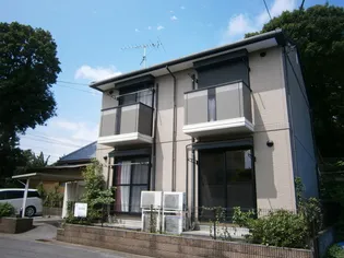 グリーンオークの画像