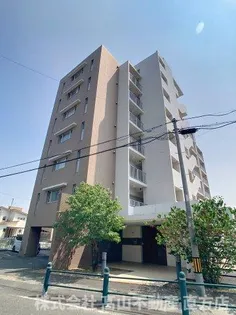 秋桜中間の画像