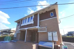 プラシードの画像