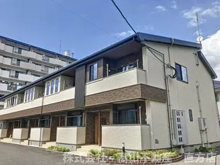 ペーパー ムーンの画像