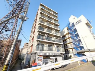 メゾンサクラ12期の画像