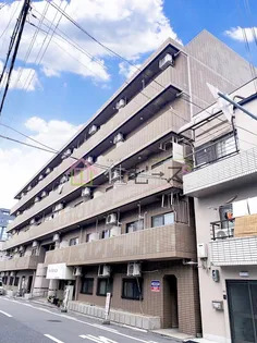 ハイグレード千島の画像