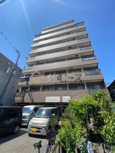 プルメリア玉出の画像