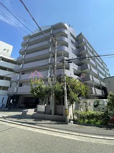 CLEAR TSUKAMOTOの画像