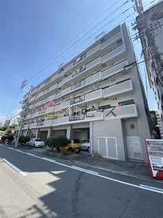 木川東エクセルハイツ【7階】の外観