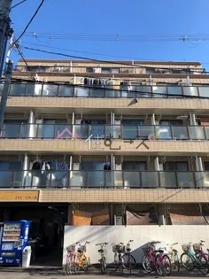 ピエールカルダンの画像