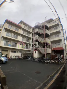 メゾンマツウラの画像