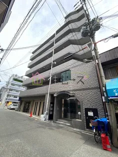 エクセレント上新8の画像