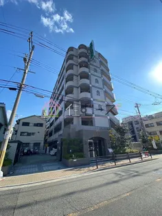 エクセレント上新11の画像