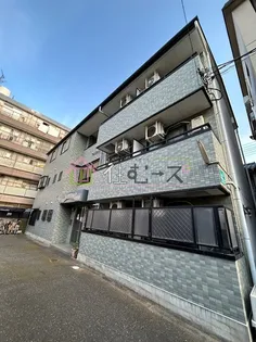 エルグリーンミキの画像