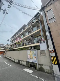 メゾン横堤の画像