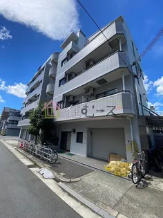 エクセレンス樹羅の画像