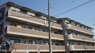 エレガンシア金剛【4階】の外観
