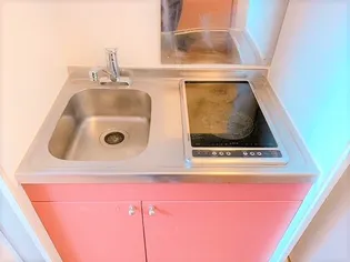 レオパレスウグイス【1階】のキッチン