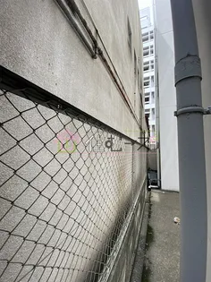 トラスティーコート【1階】の内装