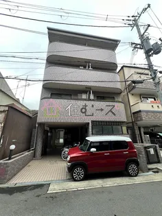 フェリシダの画像