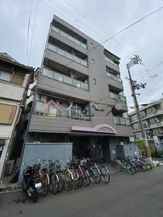 シャトー杉本PARTIIの画像