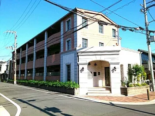 セレンディピティ プレシャスの画像