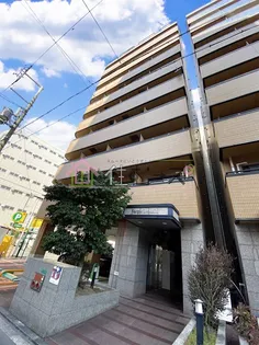 VERGER ZENSHINの画像