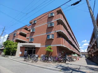 フリーダム中村【3階】の外観
