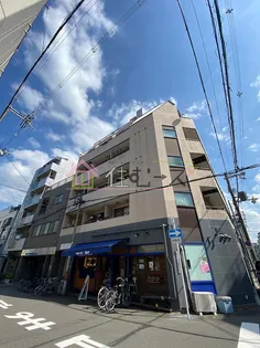 シロハイヌ千代崎の画像