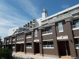 アラバスタの画像