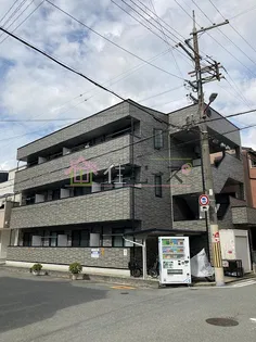 アンプルールフェールドミールの画像