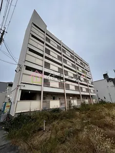 向井コーポ【1階】の外観