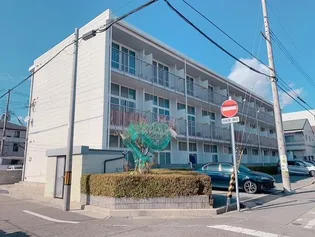 レオパレスコスモ【2階】の外観