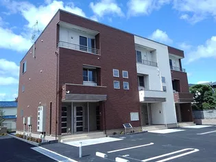 パインルーツIIIの画像