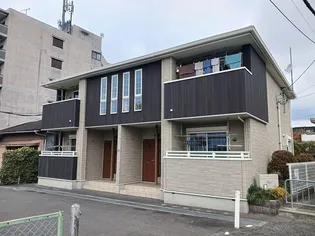 フィデールの画像