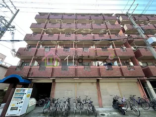 ルネッサンスファミールの画像