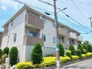 レディバードポイントBの画像