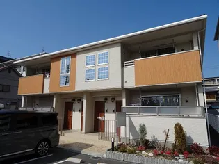 エルベラン ソラの画像