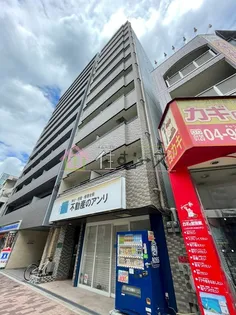 レジナコートの画像