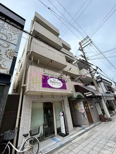 レオハイムスギの画像