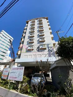 ホワイトハイツカドタの画像