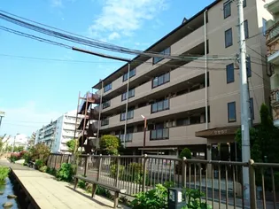 せせらぎの画像