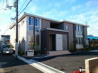 ポプルスYの画像