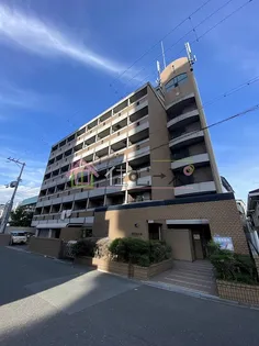 デンクマール50の画像