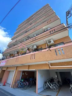 サクセス照ケ丘の画像