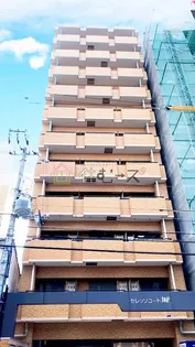 セレッソコート大阪城前【11階】の外観